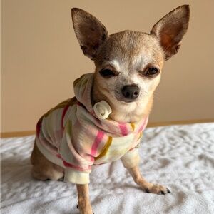 ✨ Juicy Couture Velour Dog Hoodie XS ✨